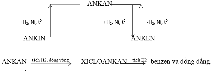 Chuyên đề Sinh học lớp 9