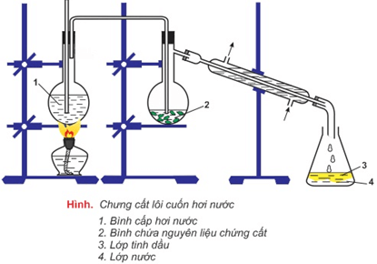 Tìm hiểu và lựa chọn quy trình chiết xuất tinh dầu