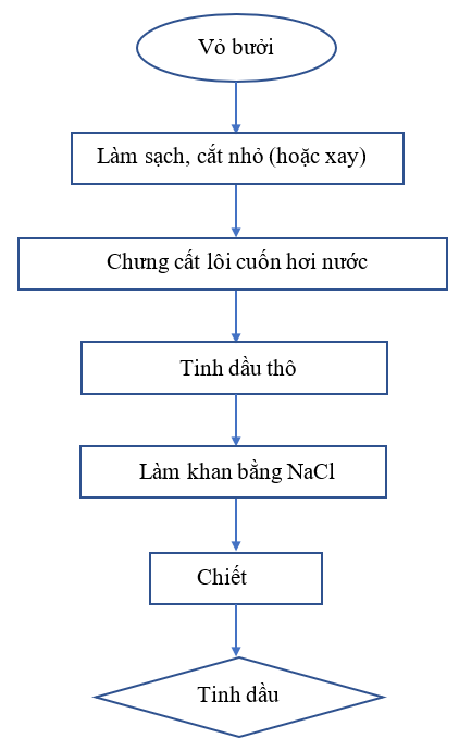 Tìm hiểu và lựa chọn quy trình chiết xuất tinh dầu