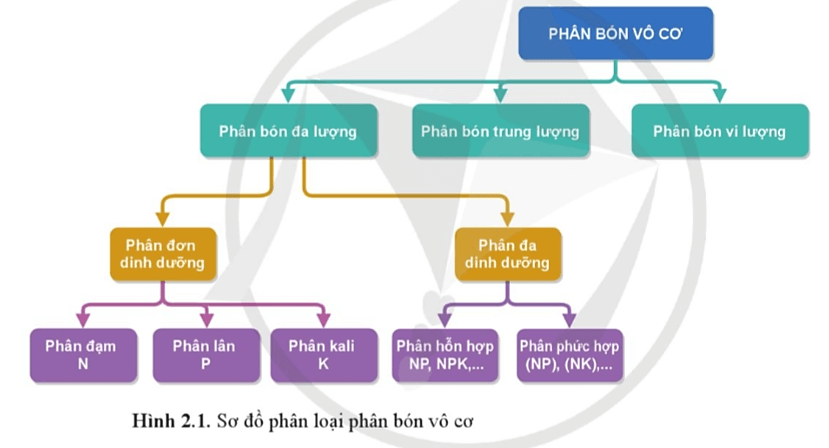 Dựa vào Hình 2.1, hãy cho biết phân bón có thành phần chính là ammonium sulfate được xếp