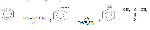 Chuyên đề Hóa học lớp 11