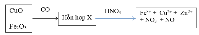 Chuyên đề Sinh học lớp 9