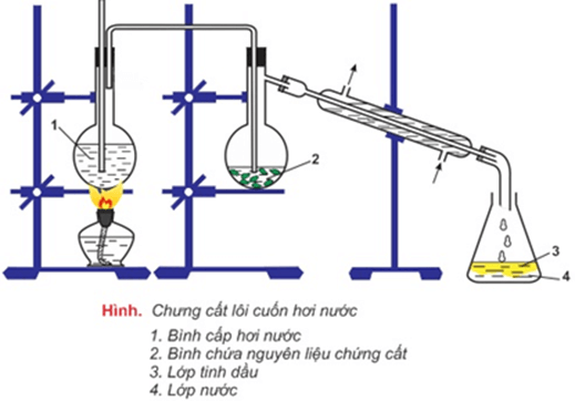 Trình bày quy trình chiết suất tinh dầu (dụng cụ, dung môi, nguyên liệu, thời gian, …)