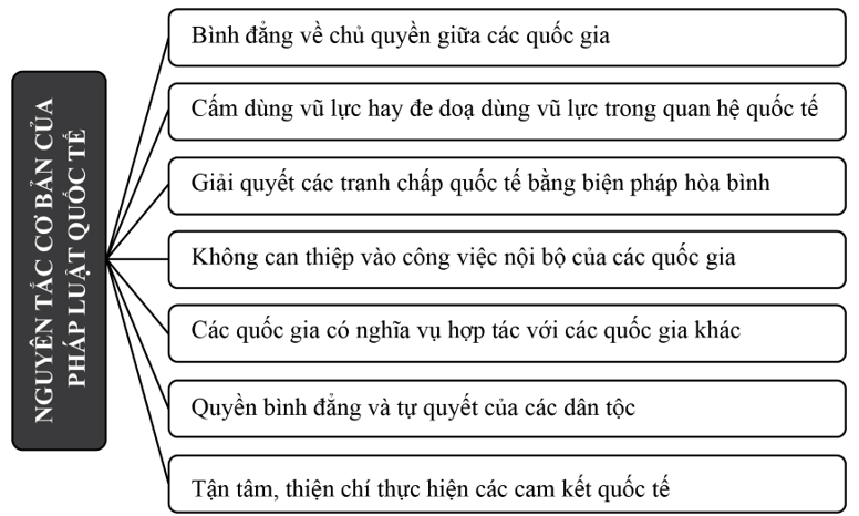Các nguyên tắc cơ bản của pháp luật quốc tế (ngắn gọn nhất)