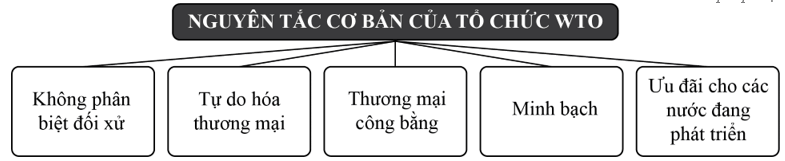 Nguyên tắc cơ bản của tổ chức thương mại thế giới (ngắn gọn nhất)