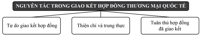 Nguyên tắc của hợp đồng thương mại quốc tế (ngắn gọn nhất)
