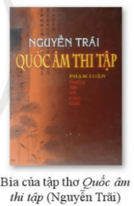 Soạn bài Phương pháp đọc một tập thơ, tập truyện ngắn hoặc một tiểu thuyết | Chuyên đề Văn 10 Cánh diều