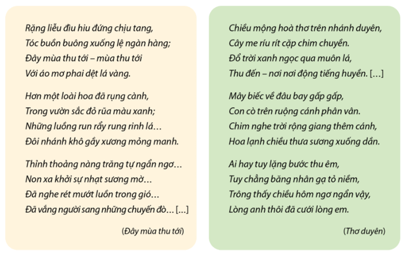 Soạn bài Yêu cầu và cách thức đọc một tác giả văn học | Chuyên đề Văn 11 Cánh diều