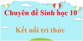 Chuyên đề Sinh 10 Kết nối tri thức | Giải bài tập Chuyên đề học tập Sinh học 10 hay, ngắn gọn