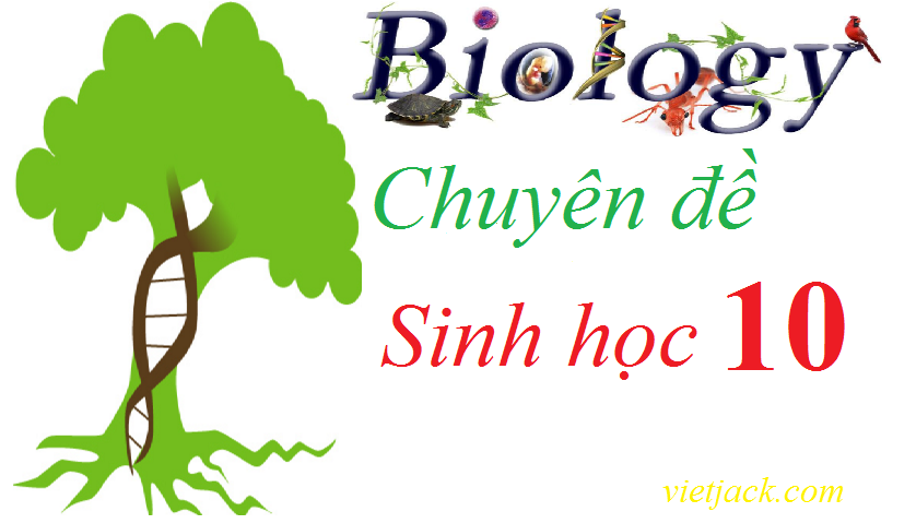 Chuyên đề Sinh 10 | Giải Chuyên đề học tập Sinh học 10 Kết nối tri thức, Chân trời sáng tạo, Cánh diều hay, ngắn gọn