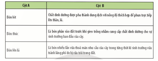 Ghép thông tin cột A phù hợp với cột B