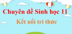 Chuyên đề Sinh 11 Kết nối tri thức | Giải Chuyên đề học tập Sinh học 11 (hay, ngắn gọn)