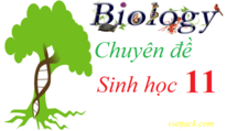 Chuyên đề Sinh 11 (sách mới) | Giải Chuyên đề học tập Sinh học 11 (hay, ngắn gọn)