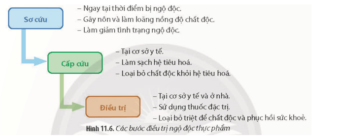 Đọc thông tin, quan sát Hình 11.6 và thực hiện yêu cầu