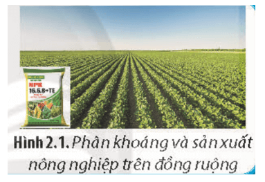 Trồng cây phải cung cấp chất dinh dưỡng để giúp cây sinh trưởng phát triển tốt