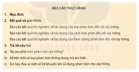 Học sinh viết báo cáo thực hành theo các nội dung sau