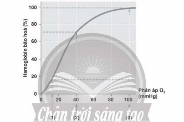 Bài tiết là gì (khái niệm, vai trò)