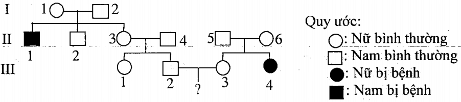 Cách giải bài tập xác suất trong di truyền người – di truyền phả hệ