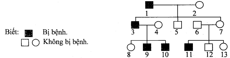 Cách giải bài tập xác suất trong di truyền người – di truyền phả hệ