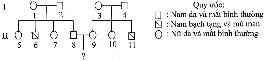 Cách giải bài tập xác suất trong di truyền người – di truyền phả hệ