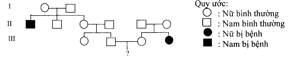 Cách giải bài tập xác suất trong di truyền người – di truyền phả hệ
