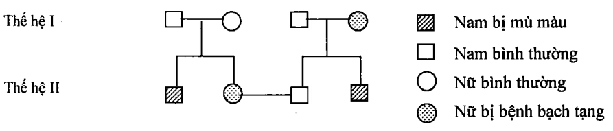 Cách giải bài tập xác suất trong di truyền người – di truyền phả hệ