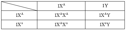 Cách giải bài tập xác suất trong di truyền người – di truyền phả hệ