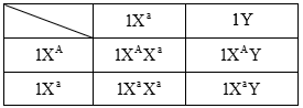 Cách giải bài tập xác suất trong di truyền người – di truyền phả hệ