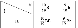 Cách giải bài tập xác suất trong di truyền quần thể - quần thể người