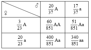 Cách giải bài tập xác suất trong di truyền quần thể - quần thể người