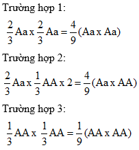 Cách giải bài tập xác suất trong di truyền người – di truyền tư vấn