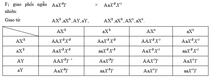 Cách giải bài tập xác suất trong quy luật di truyền – di truyền liên kết giới tính và phụ thuộc giới tính