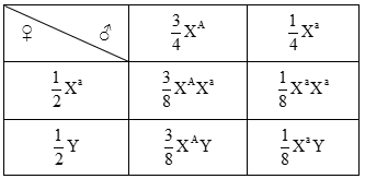 Cách giải bài tập xác suất trong quy luật di truyền – di truyền liên kết giới tính và phụ thuộc giới tính