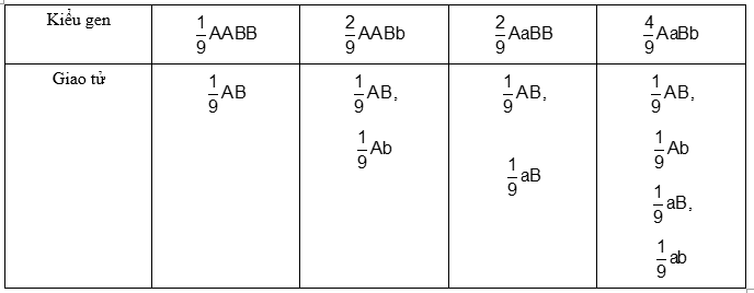 Cách giải bài tập xác suất trong quy luật di truyền – di truyền tương tác gen và gen đa hiệu