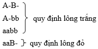 Cách giải bài tập xác suất trong quy luật di truyền – di truyền tương tác gen và gen đa hiệu