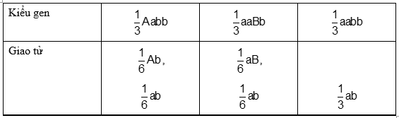 Cách giải bài tập xác suất trong quy luật di truyền – di truyền tương tác gen và gen đa hiệu