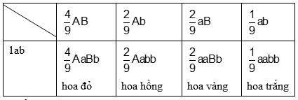 Cách giải bài tập xác suất trong quy luật di truyền – di truyền tương tác gen và gen đa hiệu