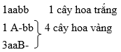 Cách giải bài tập xác suất trong quy luật di truyền – di truyền tương tác gen và gen đa hiệu