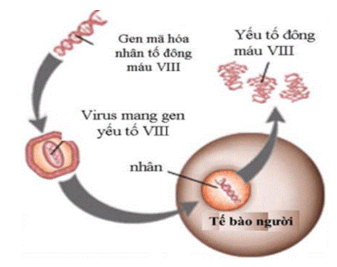 Công nghệ DNA tái tổ hợp là gì (chi tiết nhất)
