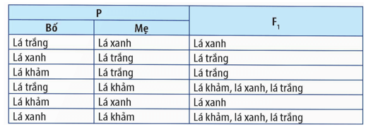 Di truyền gene ngoài nhân (chi tiết nhất)