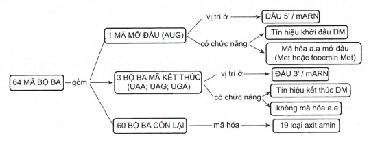 Chuyên đề Sinh học 12 năm 2024