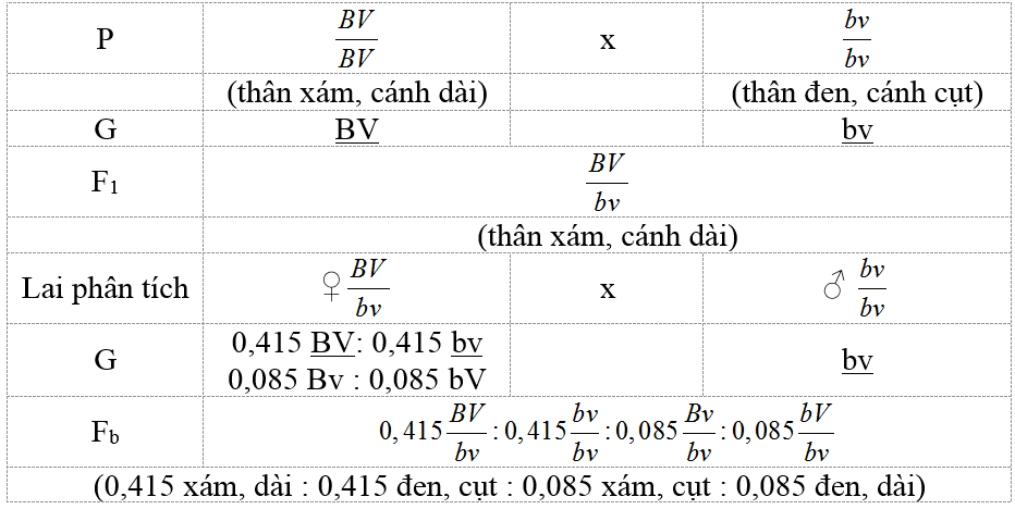 Chuyên đề Sinh 12