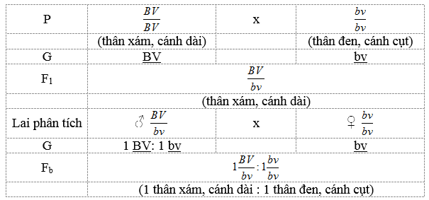 Chuyên đề Sinh 12