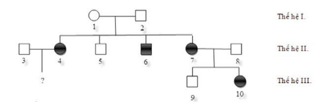 Liệu pháp gene là gì (mục đích, qui trình, thành tựu và ứng dụng)