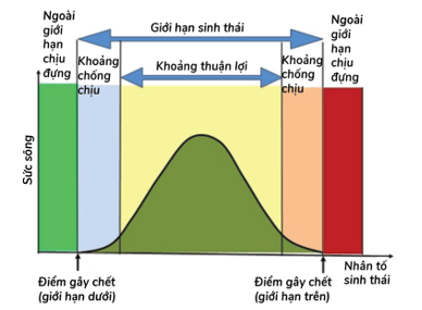 Quy luật giới hạn sinh thái là gì (khái niệm, phân loại, đặc điểm)