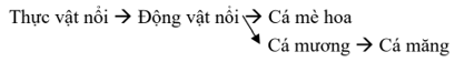 Ổ sinh thái và sự phân li ổ sinh thái (ngắn gọn nhất)
