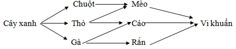 Chuyên đề Sinh học lớp 9