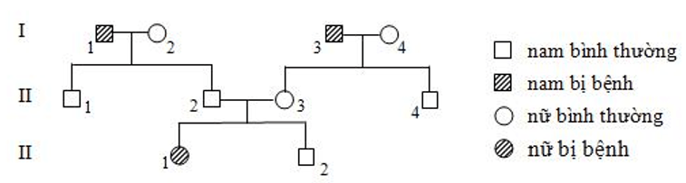 Chuyên đề Sinh học lớp 9