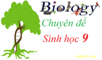 Chuyên đề Sinh học lớp 9