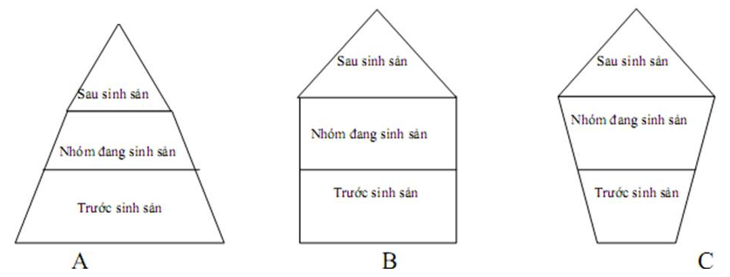 Chuyên đề Sinh học lớp 9